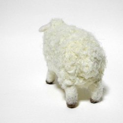 もこもこ羊【Happy】 4枚目の画像