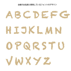 職業オーダー選び取りカード16枚セット女の子用 6枚目の画像