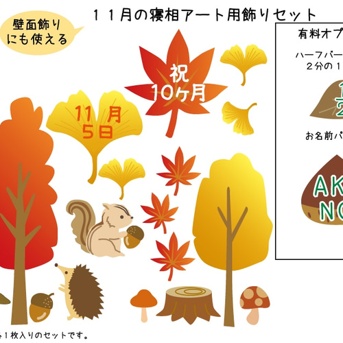 寝相アート用飾りセット11月のイラスト 雑貨・その他 A.GO 通販