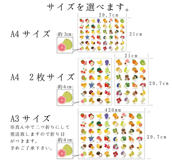  第2張的照片