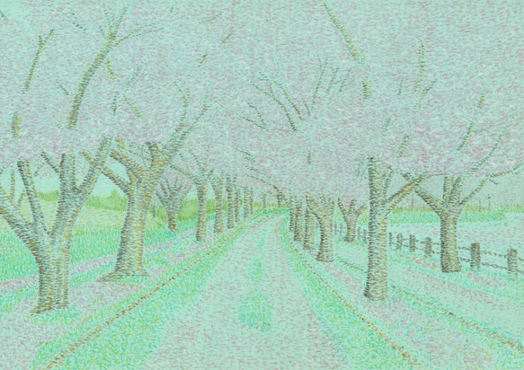 桜並木 1枚目の画像