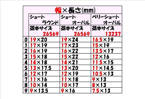 ショートラウンド確認用チップ 3枚目の画像