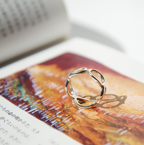 輪廻転生（りんねてんせい）Silver925 リング 指輪・リング ほど