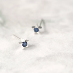 Sapphire Tiny Star Earrings 925 Sterling Silver 第1張的照片
