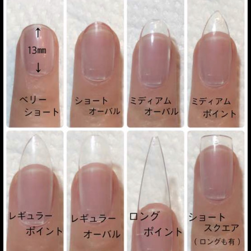 ネイルチップ ジェルネイル asmnail ネイルチップ（つけ爪） asmnail