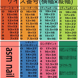 ネイルチップ ジェルネイル asmnail ラメフレンチ 4枚目の画像