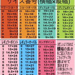 ネイルチップ ジェルネイル asmnail 5枚目の画像