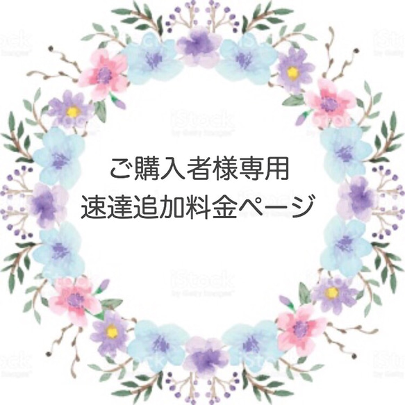 ご購入者様専用 速達料金ページ 1枚目の画像