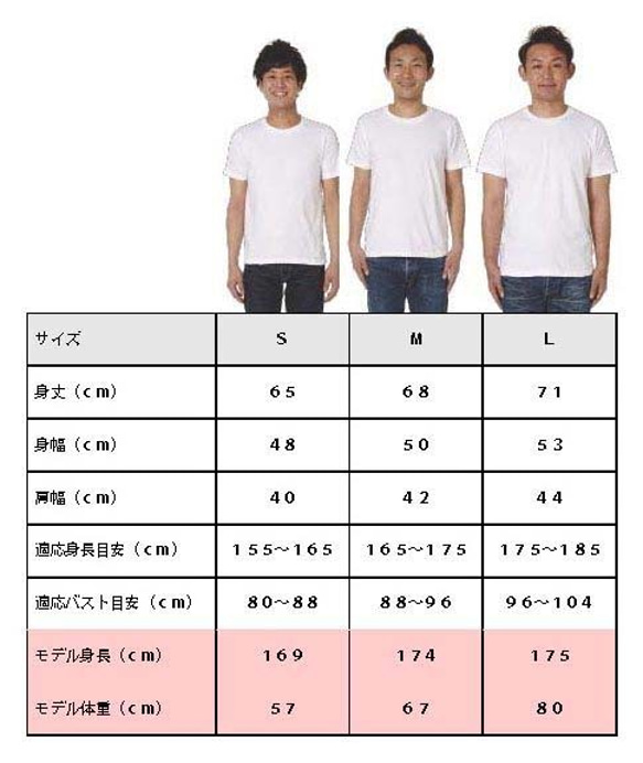 和柄　鷹虎飛蝗鯱孔雀Ｔシャツ　メンズ 2枚目の画像