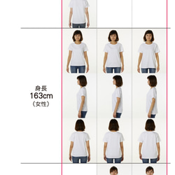 シャークＴシャツ２　レディース（Ｓ　Ｍ　Ｌ） 3枚目の画像