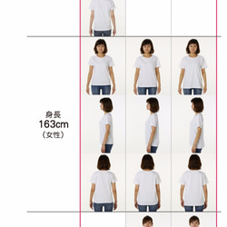 一張羅Ｔシャツ　レディース 3枚目の画像