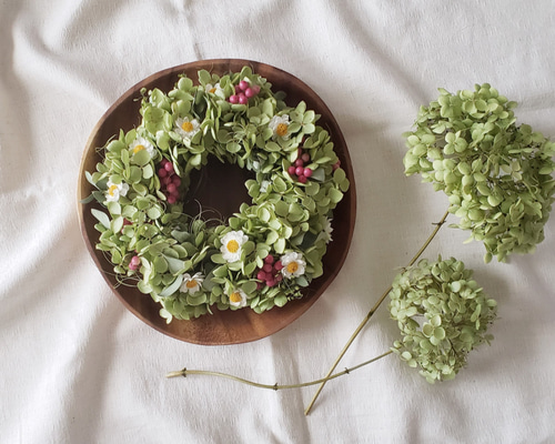 アナベルのリース 赤と白のポイントカラー ドライフラワー ドライ