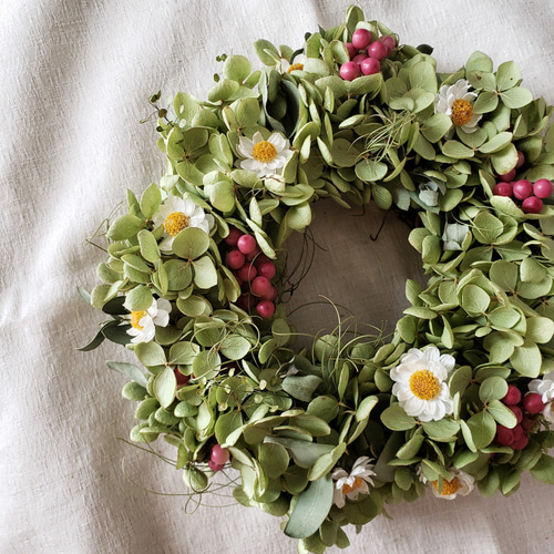 アナベルのリース 赤と白のポイントカラー ドライフラワー ドライ  