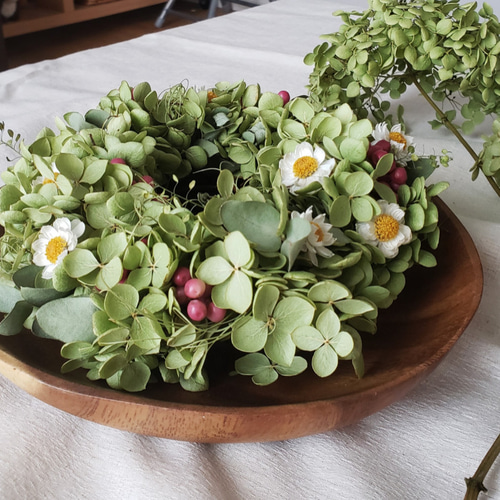 アナベルのリース 赤と白のポイントカラー ドライフラワー ドライ  