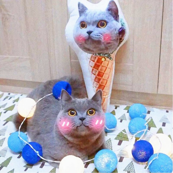 ✩オーダーメイド✩　ワンちゃん、猫ちゃんのアイスクリームクッション 2枚目の画像