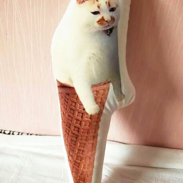 ✩オーダーメイド✩　ワンちゃん、猫ちゃんのアイスクリームクッション 3枚目の画像