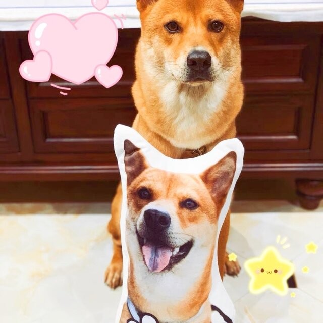 ✩オーダーメイド 45cm✩　ワンちゃん、猫ちゃんのオーダークッション