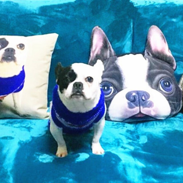 ✩受注生産✩　オーダークッション（ 四角い） 四角い） ✩受注生産✩　オーダークッション（ 正規品・日本国内発送・安心保証付きの商品写真