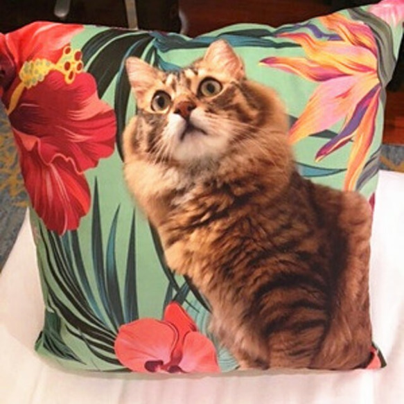 ✩受注生産✩　オーダークッション（ 四角い） 四角い） ✩受注生産✩　オーダークッション（ 正規品・日本国内発送・安心保証付きの商品写真