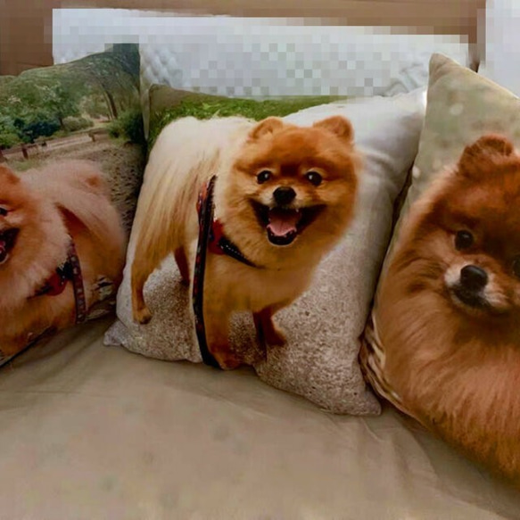 ✩受注生産✩　オーダークッション（ 四角い） 四角い） ✩受注生産✩　オーダークッション（ 正規品・日本国内発送・安心保証付きの商品写真