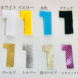 ベビークラウン y×b カラー 100日、1歳、名入れ、王冠、誕生日、ハーフバースデー、ニューボーンフォト、犬、猫 5枚目の画像