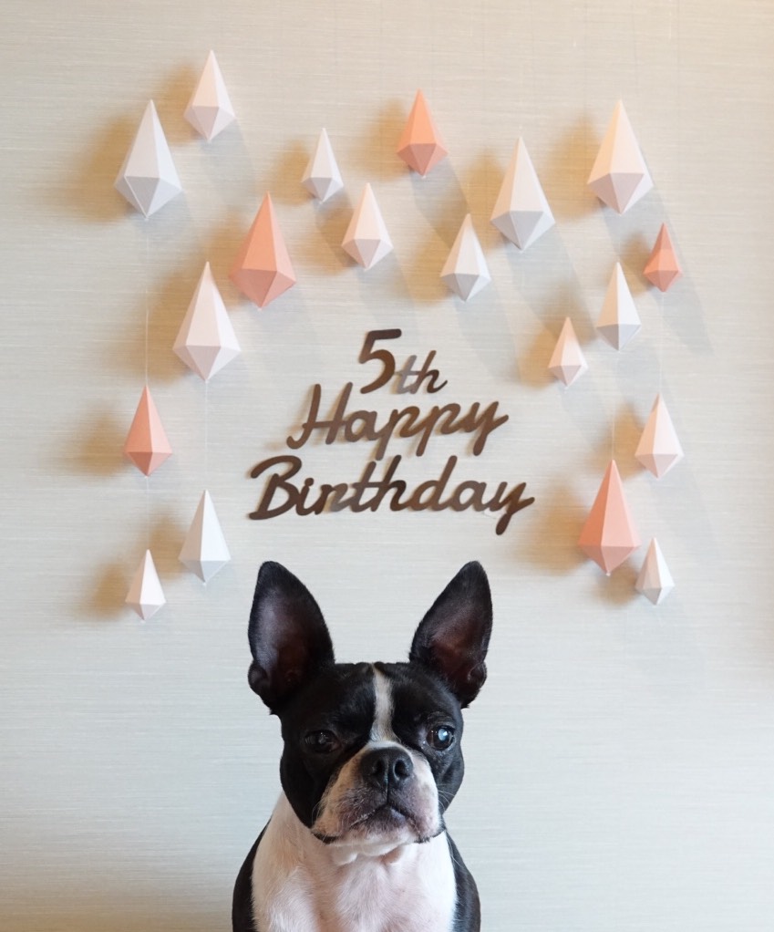 紙で作ったダイヤのガーランド 大✩サクラ　お誕生日お祝いや卒業お祝い、記念日のお祝いなどにいかがですか？　#ピンク　#白