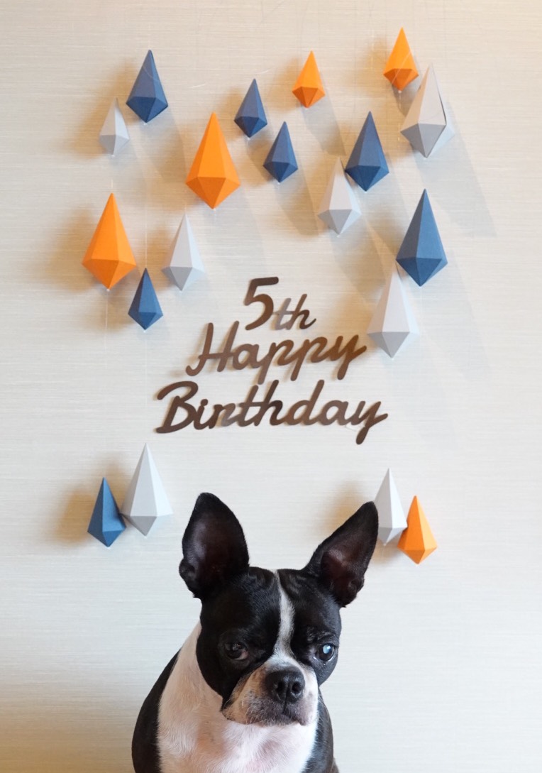 紙で作ったダイヤのガーランド 大✩ポピー　お誕生日お祝いや卒業お祝い、記念日のお祝いなどにいかがですか？　#青#オレンジ