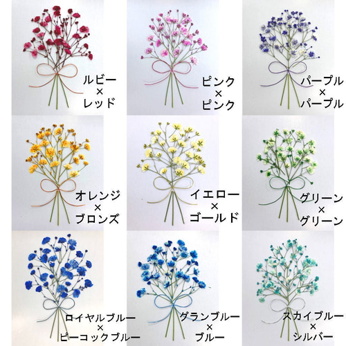 ぽりぽりページ⭐︎押し花ケース ぽりぽりページ⭐︎押し花ケース ☆受注生産☆ お花の押し花
