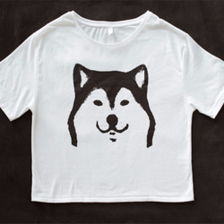 犬　柴犬　Tシャツ 3枚目の画像