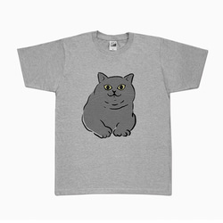 ブリティッシュショートヘア　Tシャツ　 犬 Lサイズ 3枚目の画像