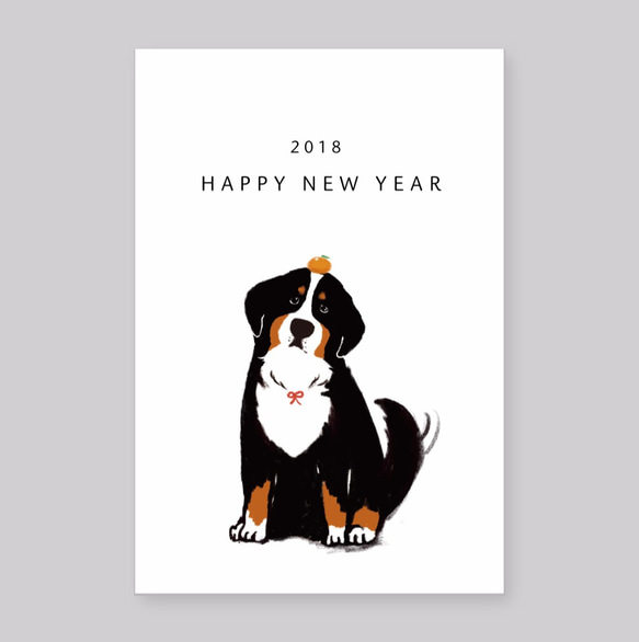年賀状】バーニーズマウンテンドッグ 【5枚入り】 2018 干支 戌年 犬