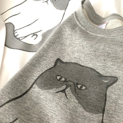 棉衫　异国短毛猫（灰色）貓 第2張的照片