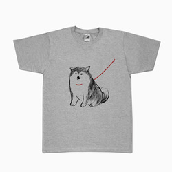 柴犬 　待ってるTシャツ（グレー）犬 1枚目の画像