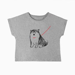 柴犬　待ってる ドルマンTシャツ（グレー）犬 2枚目の画像