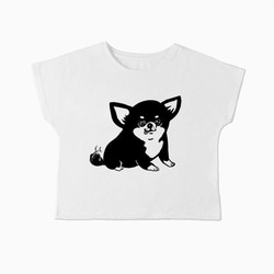 チワワ　ドルマンTシャツ（ホワイト）犬　ブラックタン 2枚目の画像