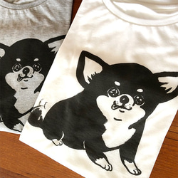 チワワ　ドルマンTシャツ（ホワイト）犬　ブラックタン 3枚目の画像