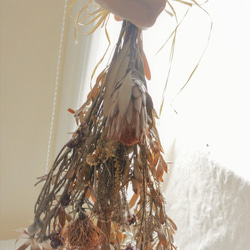 ワイルドフラワーのドライフラワー・スワッグ  アフリカ生まれのドライフラワー花束でおしゃれな空間を♪ 5枚目の画像