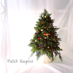 クリスマスツリー2(木の実)(プリザーブドフラワー) 1枚目の画像