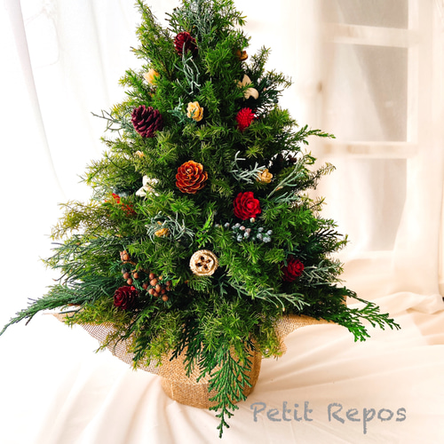 早割クリスマスツリー2021(木の実)(プリザーブドフラワー 