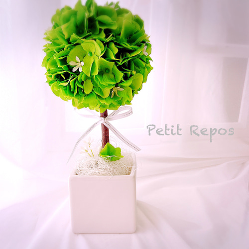 ♪＊トピアリー*＊♪* 04