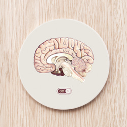 Brain in Use セラミックコースター/医師 医師 看護師 ナース ギフト ギフト 解剖学 1枚目の画像