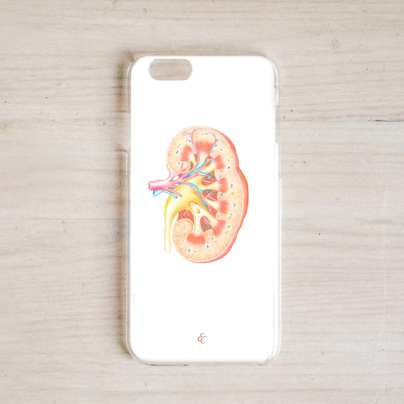 腎臓解剖臓器電話ケース iPhone/Samsung/HTC/Sony/ASUS/OPPO/LG 1枚目の画像