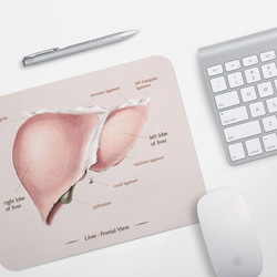 肝臓解剖学マップマウスパッド、ドクターナースライフサイエンス生物学卒業ギフト/ギフト 2枚目の画像
