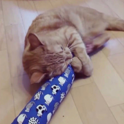 にゃんけり　Sサイズ（22）(マタタビ入り ネコの蹴りぐるみ) 3枚目の画像