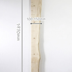 【木の身長計　耳付き材】とち／N-SIN-TC-18　お子さまの成長を見守る 3枚目の画像