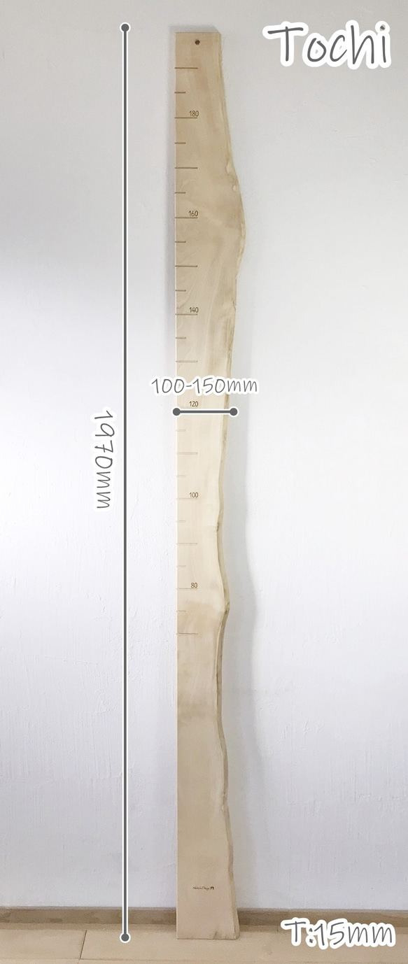 【木の身長計　耳付き材】とち／N-SIN-TC-18　お子さまの成長を見守る 3枚目の画像
