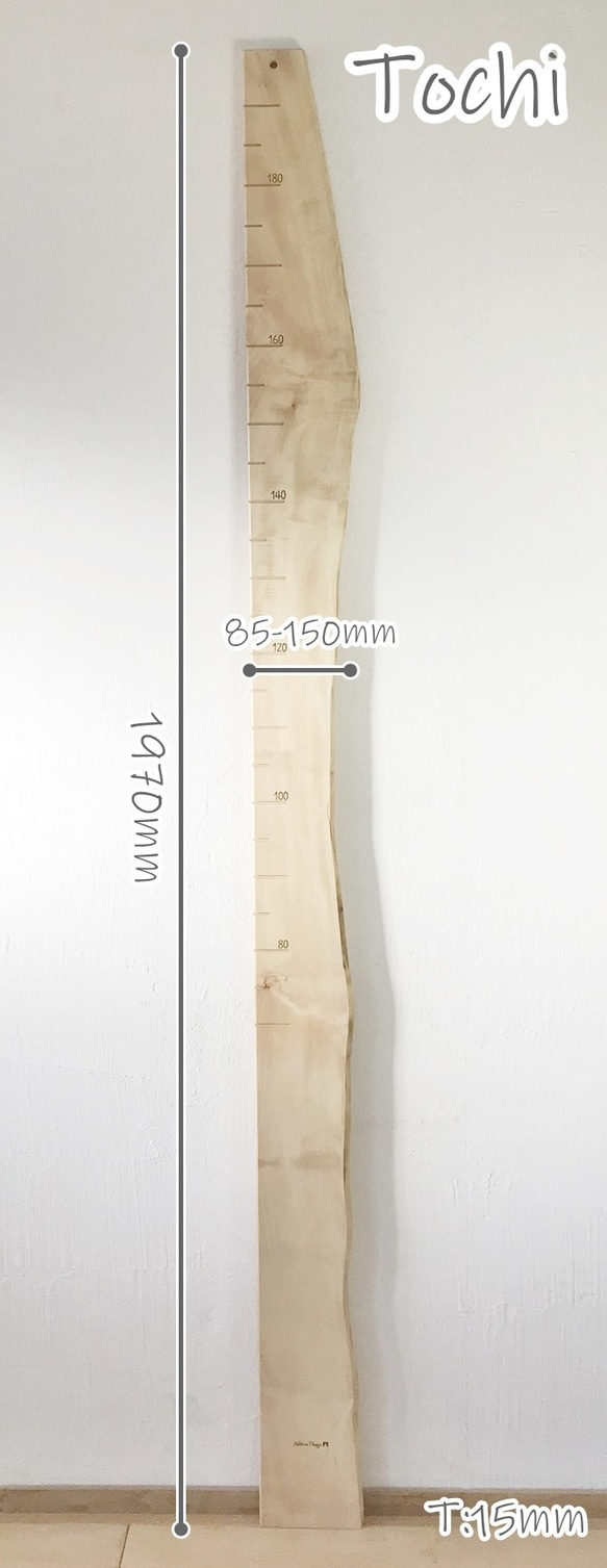 【木の身長計　耳付き材】とち／N-SIN-TC-19　お子さまの成長を見守る 3枚目の画像