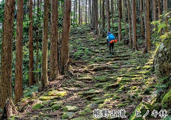 【長く使える・木曽檜のまな板】中／Khn-m　きそひのき・一枚板　 10枚目の画像