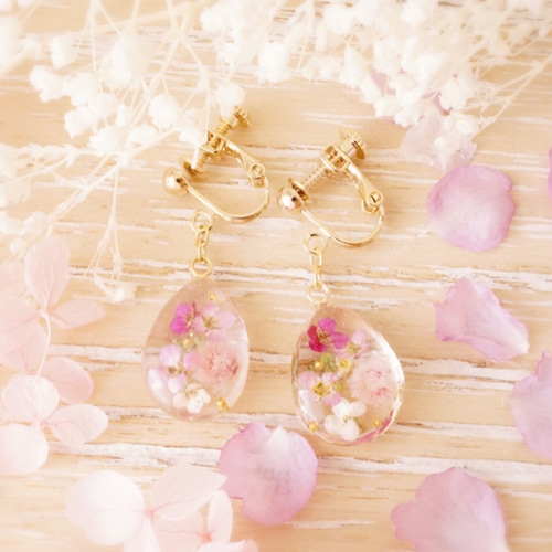 本物フラワー♡ピンクアリッサムのキューブ水中花ピアス／イヤリング 小さな妖精♡アリッサムの花 ピアス/イヤリング イヤリング