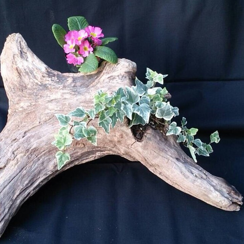 流木プランター その他インテリア雑貨 Driftwood1992 通販 1032345